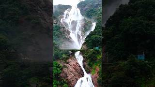 India's most beautiful waterfall ☁️✨ ❤️ #india #waterfall #shorts