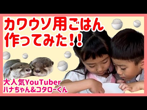 大人気YouTuberカワウソのハナちゃん&コタローくんにごはんを作ってみた！！