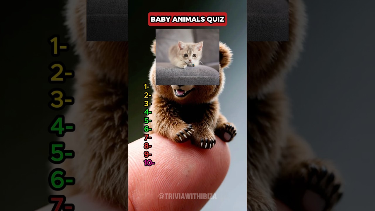 Can you name these animals by their baby pictures?#animal #animals #quiz #quiztime #education