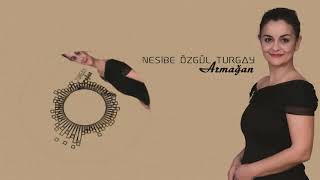 Nesibe Özgül Turgay - Ilık Yaz Geceleri  [] Resimi