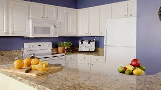 Paradise Resort Accommodations