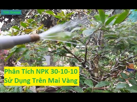 Video: Làm thế nào để sử dụng một cổ áo đào tạo hàng đầu Paw Chrome Pinch