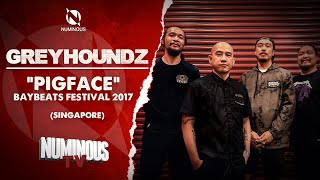 Greyhoundz \