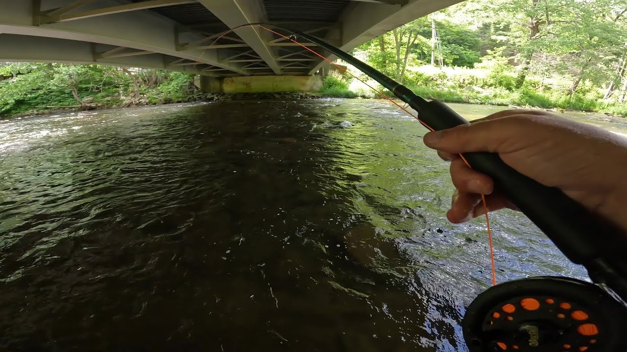 AMAZING 3 day Fly Fishing adventure for BIG TROUT!!! (Catch&Cook) The Movie YouTube