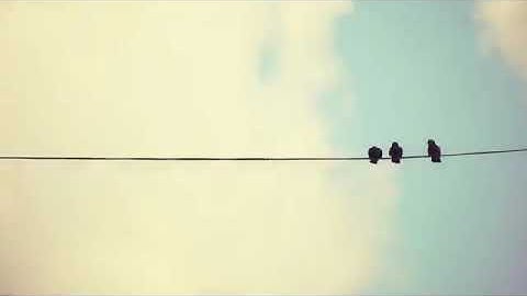 حالات واتس اب قران أسلام صبحي تلاوة رائعة سورة الفرقان