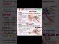 #ashortaday #biology #anatomy #hearing #class11#class12th#quickrevision #recap #oneshot #shortsviral