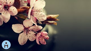 Relaxing Music: Calm Instrumental Music to Relax and Restore Inner Balance ❈810 screenshot 4