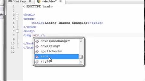 Video 9 HTML Adding Images to Your Website