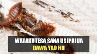 WAFAHAMU KUNGUNI NA NJIA YA KUWATOKOMEZA KWA HARAKA
