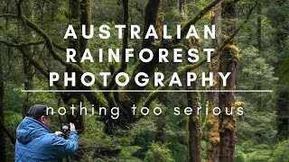 Landscape Photography | Australian rainforest photography.