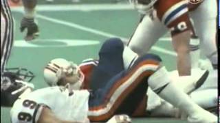Super Bowl XX Chicago 46 New England 10