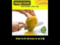 #mango 🥭 #lover 🫂 #monetize #india 🇮🇳 #aaa #mangoseason #mangoes #mangolove ❤️ #viral