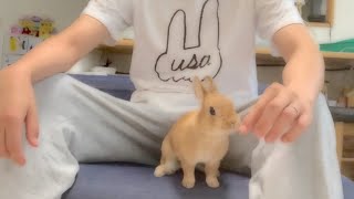 あの日のこと全てお話します　#861