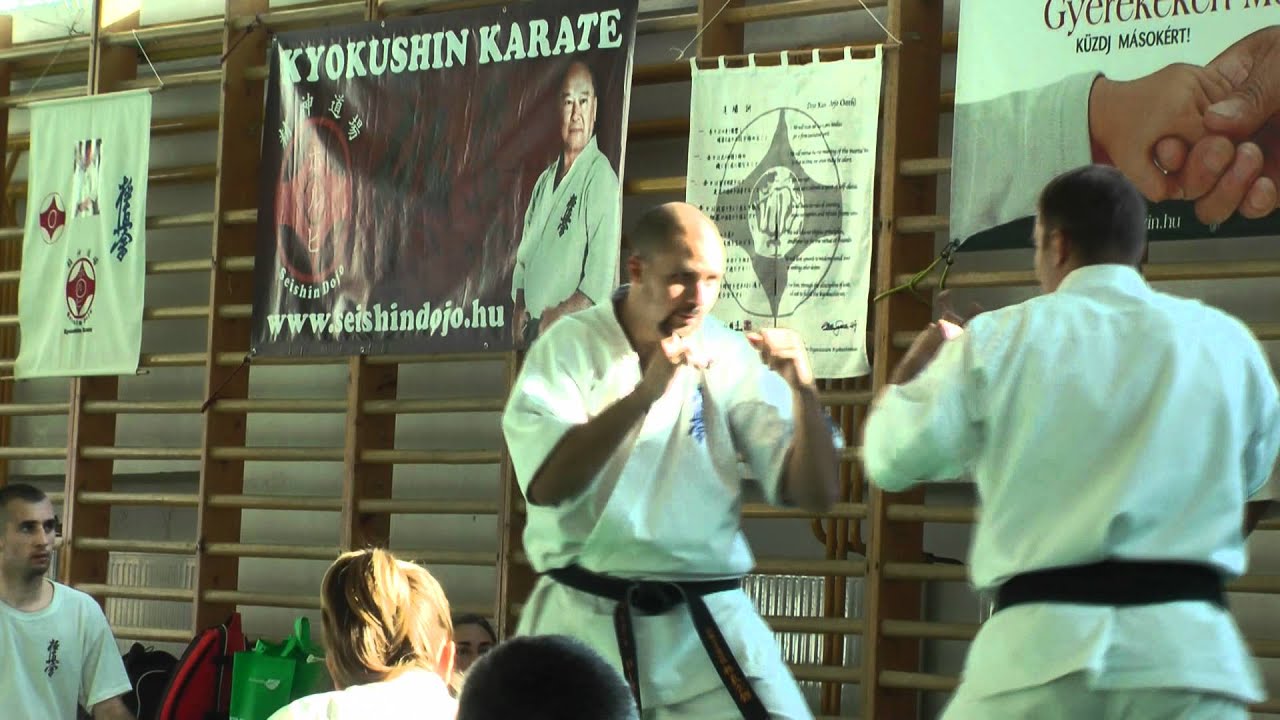 karate és látvány