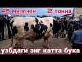 Узбдаги ЭНГ КАТТА БУКАЛАР КУРГОНТЕПА