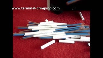 Flat cable double peel and cut machine