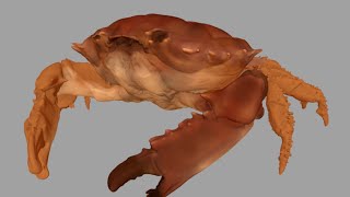 Texturing a 3D Crab (Stream) [WIP]