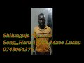 Shilunguja Ngelela Song Harusi Kwa Mzee Lushu 0748 064 376