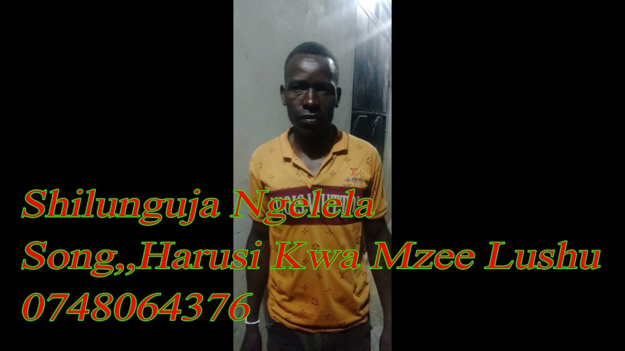 Shilunguja Ngelela_-_Song_-_Harusi Kwa Mzee Lushu 0748 064 376