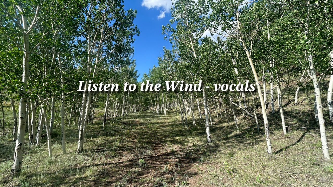 Listen to the Wind by David Waggoner - vocals with lyrics - YouTube
