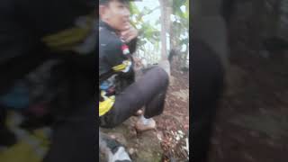 ripuh ahk kehujanan mah #anjing #anjingpemburu #doglife