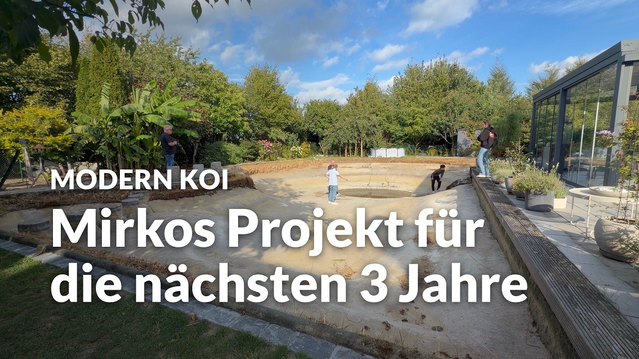 Mirkos Innenhälterung und neuestes Teichpojekt | Modern Koi Blog #8353