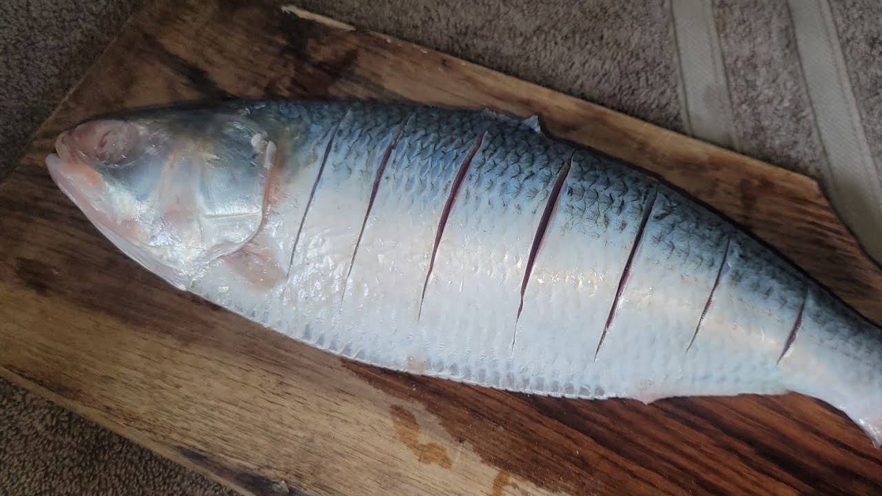 Monsoon Special PALWA Fish | PALWA Fish Recipe | Grilled Fish Recipe ...