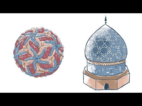 What does Zika virus have in common with Islamic art?  Virus, The Beauty of the Beast chapter 3
