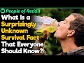 Surprisingly Unknown Survival Facts That Everyone Should Know | People Stories #444