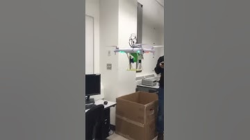 Servo-Rotor Mechanism Flight and Seed Release Test