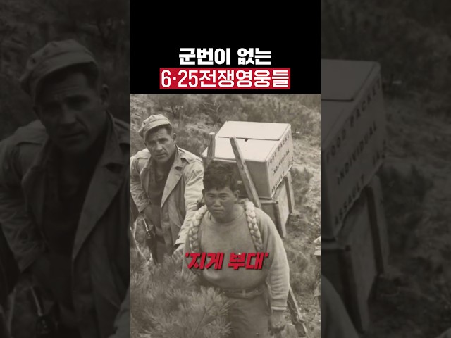 나라를 구했는데... 군번이 없다고?