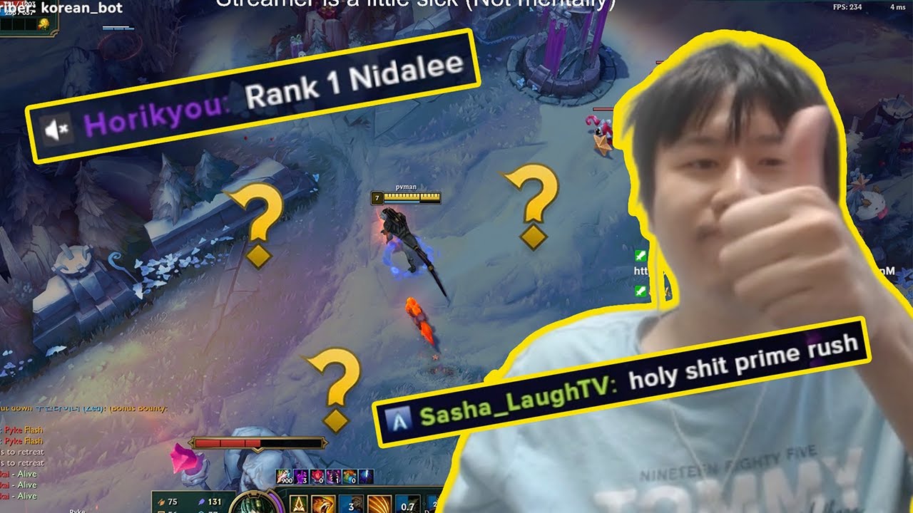 Creative Jungle path