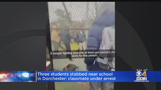3 students stabbed near school in Dorchester