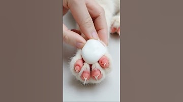 #0707  don’t blink  #pimplepopping #satisfying #mochipimplepopping #pimples