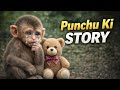 🐒 Punch Monkey Viral Story | Full Explanation & Details