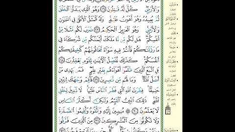 الصفحة (407) من المصحف الشريف ( سورة الروم - مشروع حفظ القرآن الكريم )