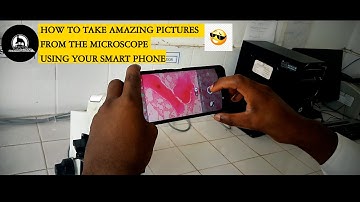 How to take amazing pictures from the microscope using your smart phone