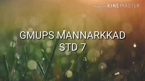 Std 7 English Unit 1