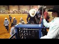 bull rider gets stomped