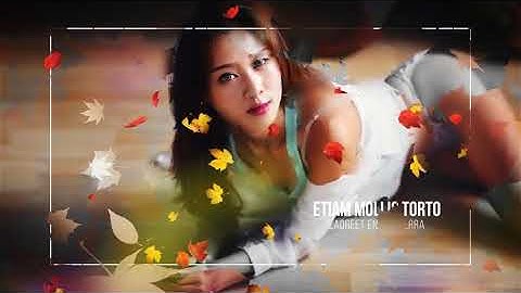 Autumn Slideshow 2-After Effects Template Videohive