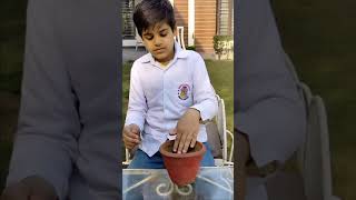 Activity : Plant a Sapling (Aadil Loona 3rd A)