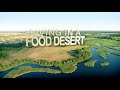 Living In a Food Desert Documentary
