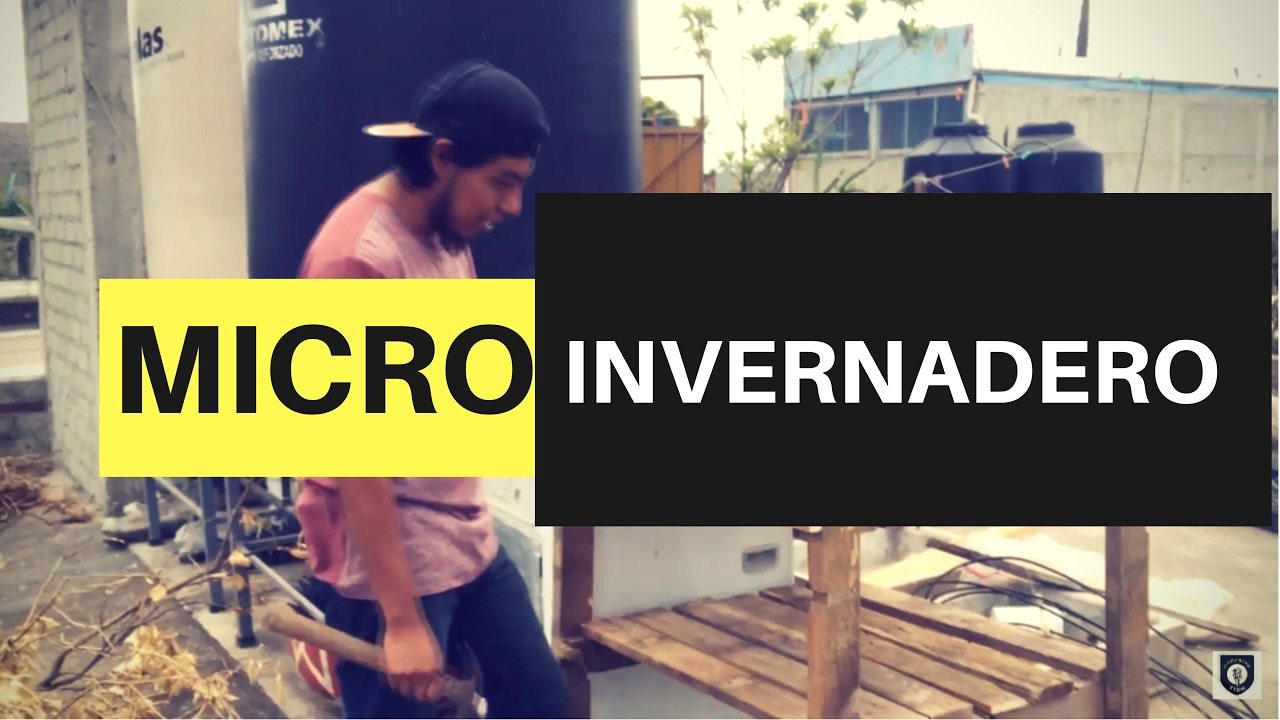 Construyendo microinvernadero- Pseudo Vlog No.1
