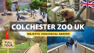 COLCHESTER ZOO Walking Tour - England! One of the BEST Zoos to Visit in the UK | 4K screenshot 3