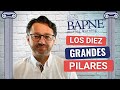 Los diez pilares básicos de la Neuromotricidad - Fundamentación teórico práctica.