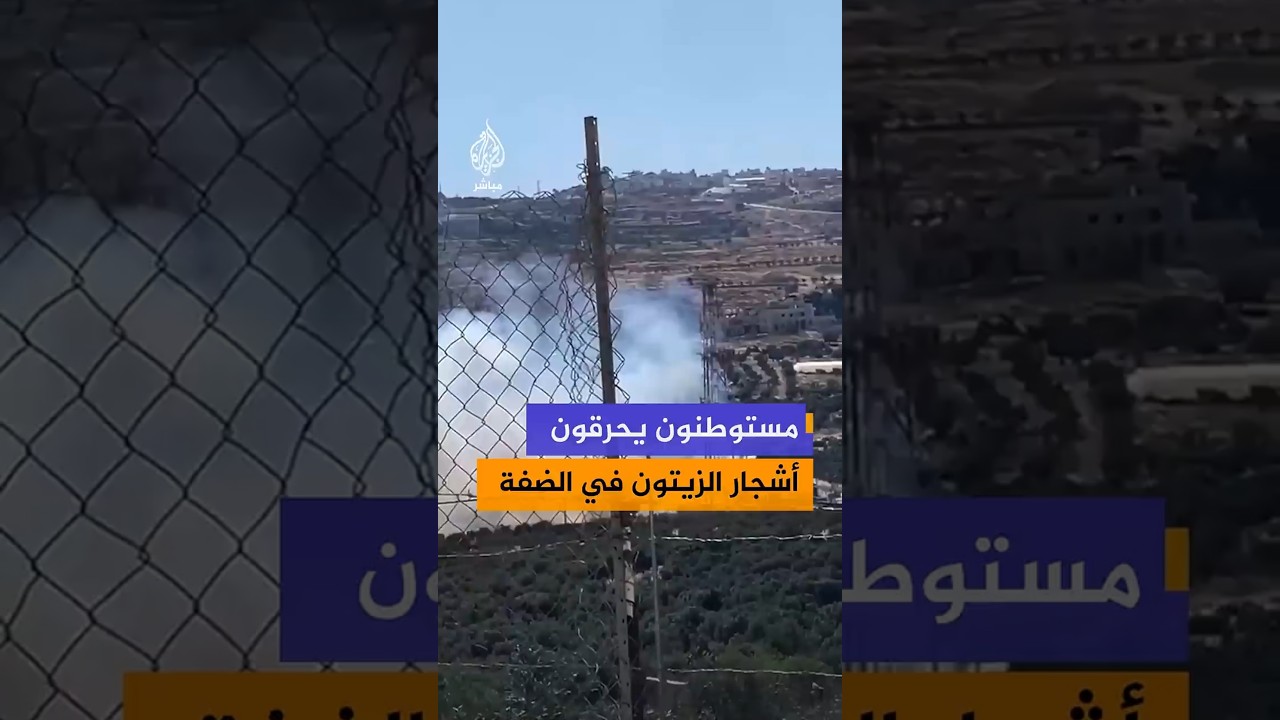 مستوطنون يحرقون أشجار الزيتون في الضفة