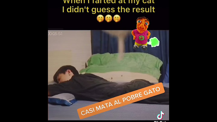 CASI MATA AL POBRE GATO #tiktok #broma #jajaja #parami #foryou #parati #viral #prank #para #happy