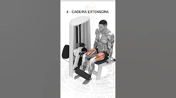TREINO COMPLETO Para PERNAS E GLÚTEOS Definidos Shorts Academia Hipertrofia Fitness Perna 