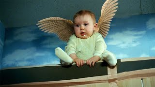 Have You Ever Seen a Child with Wings?