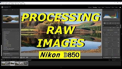 Processing RAW images from the NIKON D850 #processing #nikond850 #raw